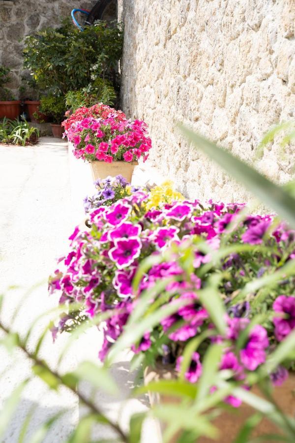 La Bella Vita - Luxury Holiday House Close To Corfu Town Potamós エクステリア 写真